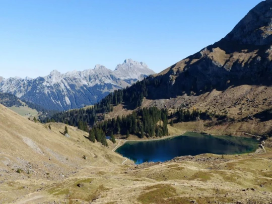 col-des-mosses-lioson-col-des-mosses-148