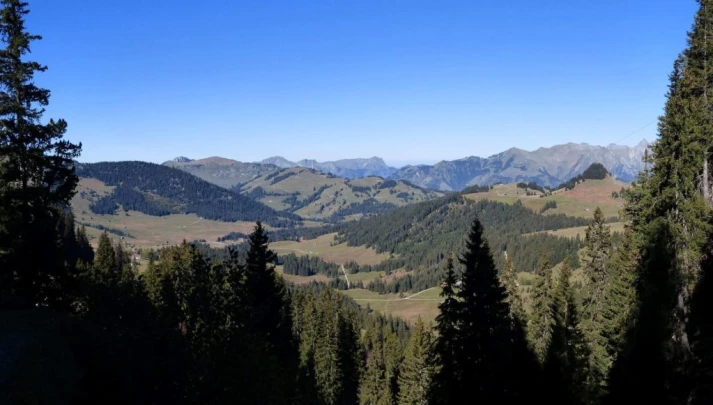 col-des-mosses-lioson-col-des-mosses-166