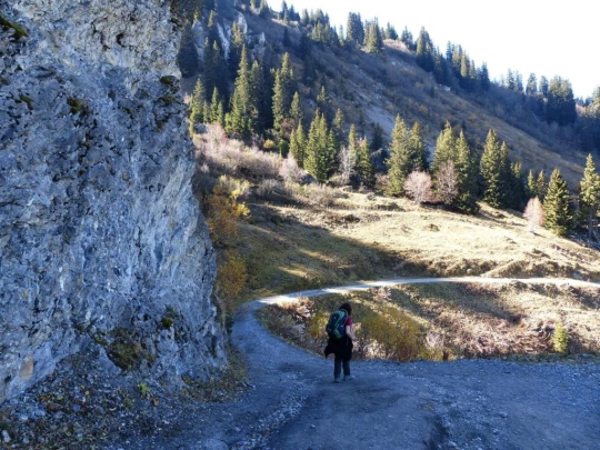 col-des-mosses-lioson-col-des-mosses-167