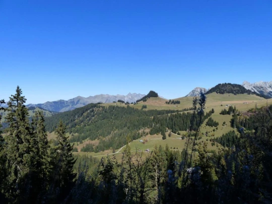 col-des-mosses-lioson-col-des-mosses-170