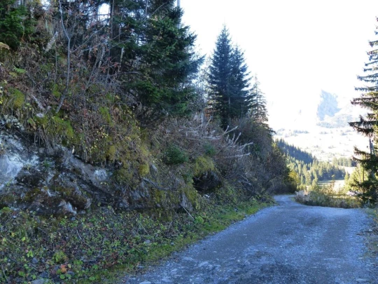 col-des-mosses-lioson-col-des-mosses-171