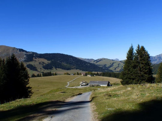 col-des-mosses-lioson-col-des-mosses-173