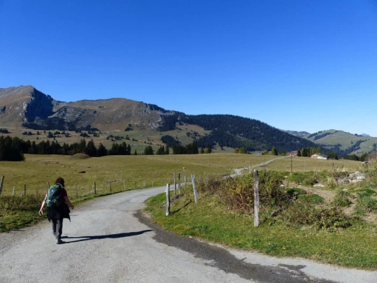col-des-mosses-lioson-col-des-mosses-176
