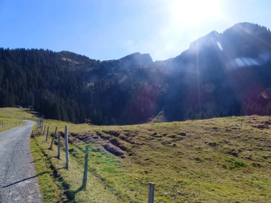 col-des-mosses-lioson-col-des-mosses-177