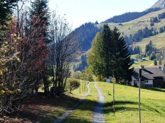 col-des-mosses-lioson-col-des-mosses-180