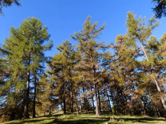 col-des-planches-etiez-102