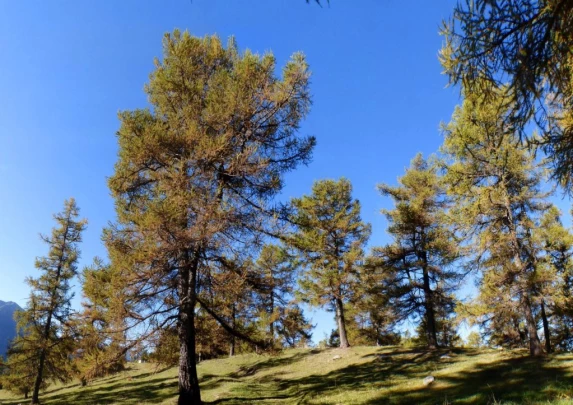 col-des-planches-etiez-103