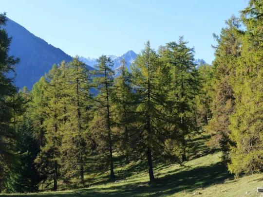 col-des-planches-etiez-105