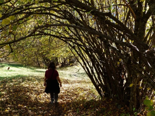 col-des-planches-etiez-205