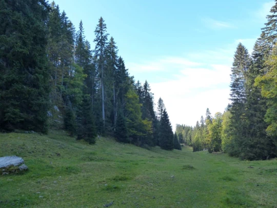 col-du-marchairuz-le-brassus-108