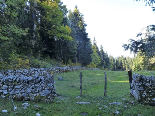 col-du-marchairuz-le-brassus-111