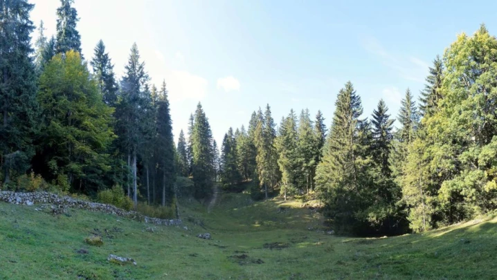 col-du-marchairuz-le-brassus-112