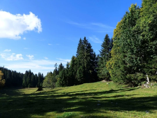 col-du-marchairuz-le-brassus-114