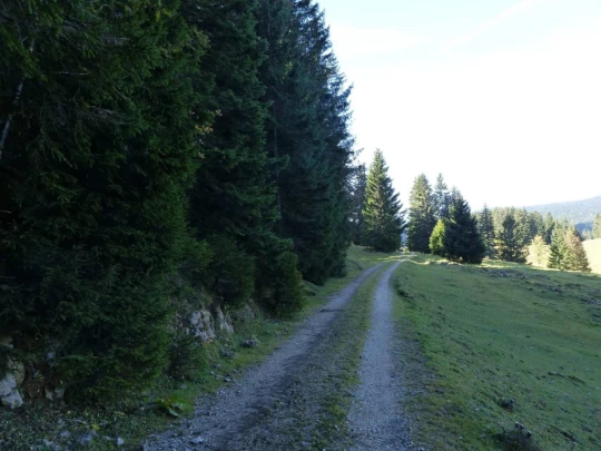 col-du-marchairuz-le-brassus-115