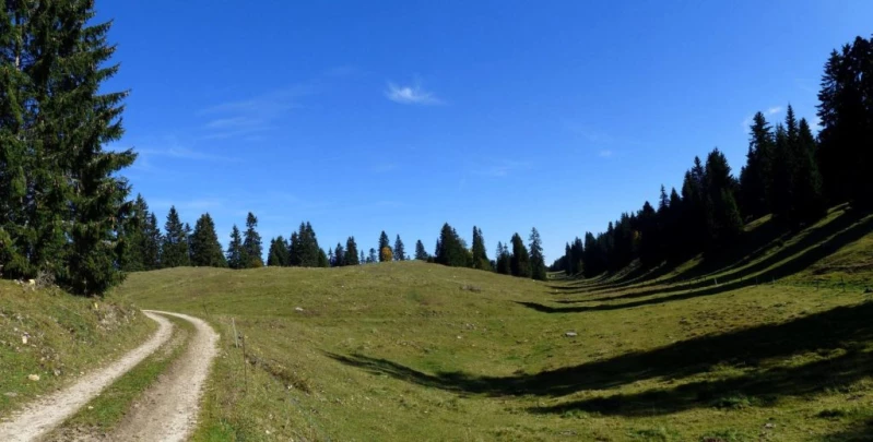 col-du-marchairuz-le-brassus-117