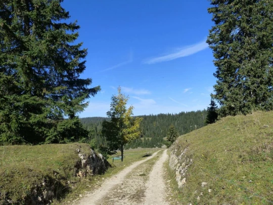 col-du-marchairuz-le-brassus-118