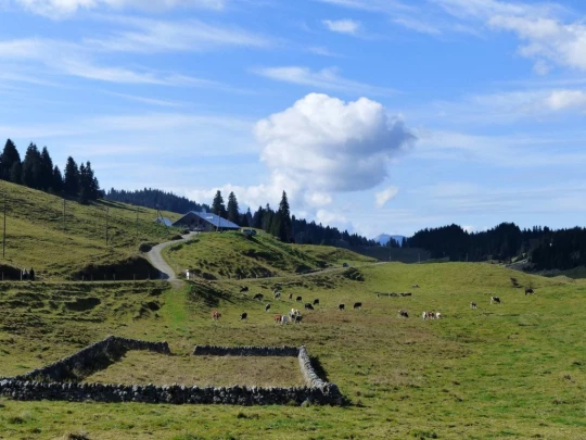 col-du-marchairuz-le-brassus-122
