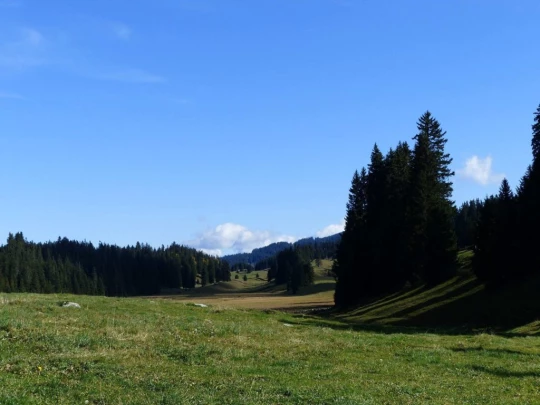 col-du-marchairuz-le-brassus-124