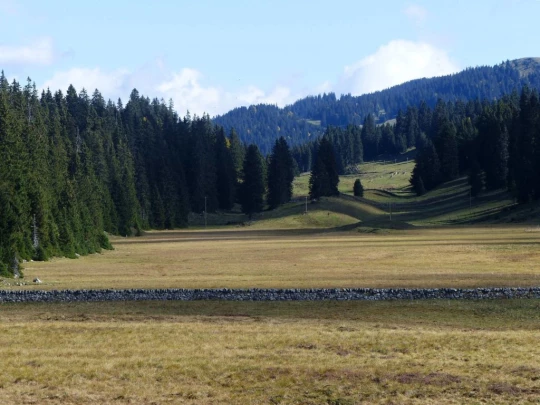 col-du-marchairuz-le-brassus-125
