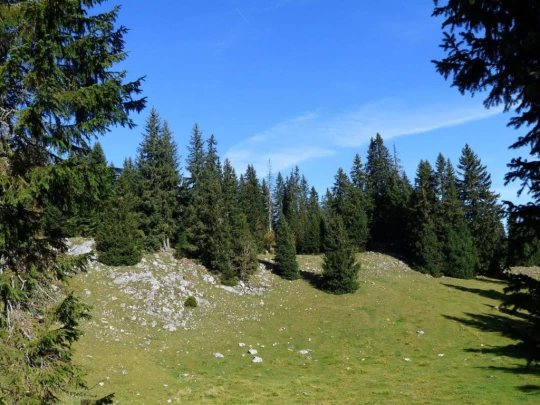 col-du-marchairuz-le-brassus-126