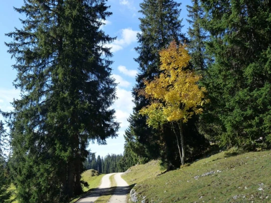 col-du-marchairuz-le-brassus-127