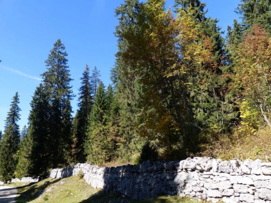 col-du-marchairuz-le-brassus-130