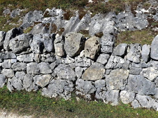 col-du-marchairuz-le-brassus-131