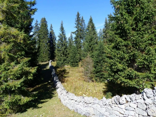 col-du-marchairuz-le-brassus-133