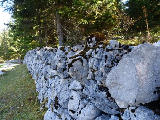 col-du-marchairuz-le-brassus-134