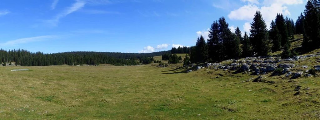 col-du-marchairuz-le-brassus-138