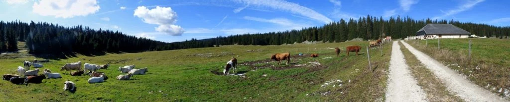 col-du-marchairuz-le-brassus-140