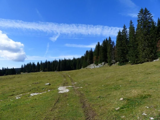 col-du-marchairuz-le-brassus-141