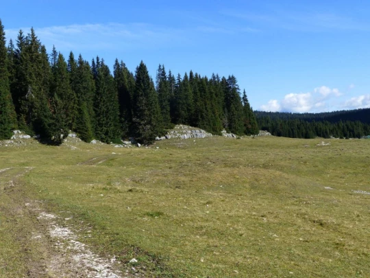 col-du-marchairuz-le-brassus-142