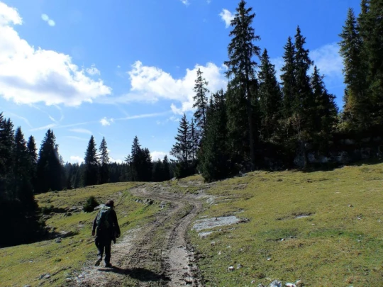 col-du-marchairuz-le-brassus-145