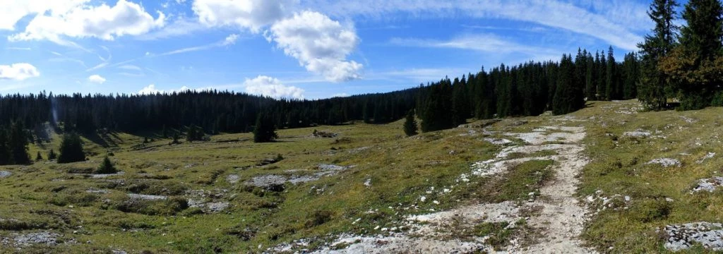 col-du-marchairuz-le-brassus-146