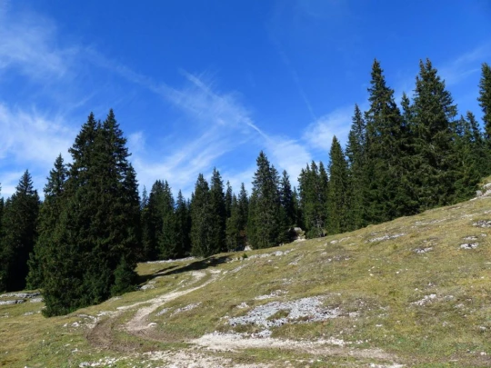 col-du-marchairuz-le-brassus-147