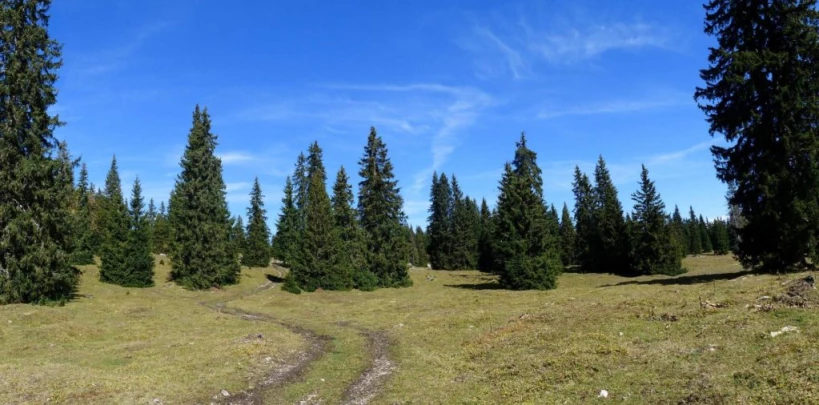 col-du-marchairuz-le-brassus-150