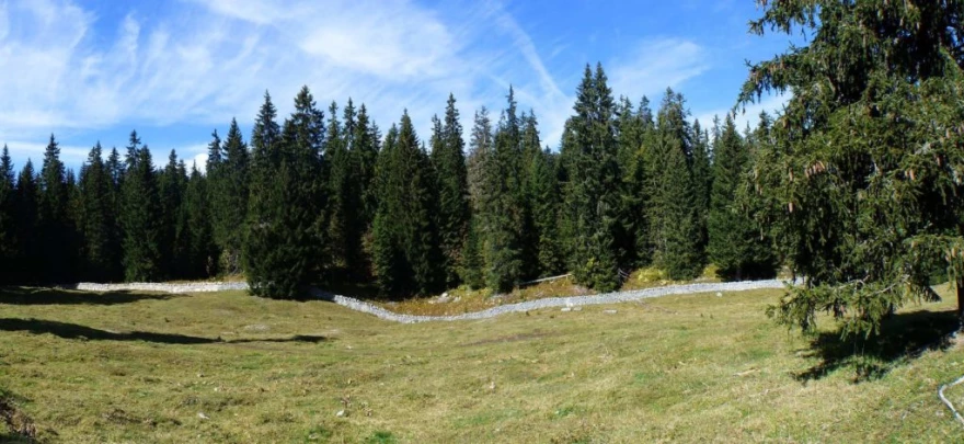 col-du-marchairuz-le-brassus-152