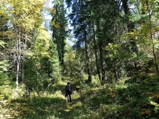 col-du-marchairuz-le-brassus-160