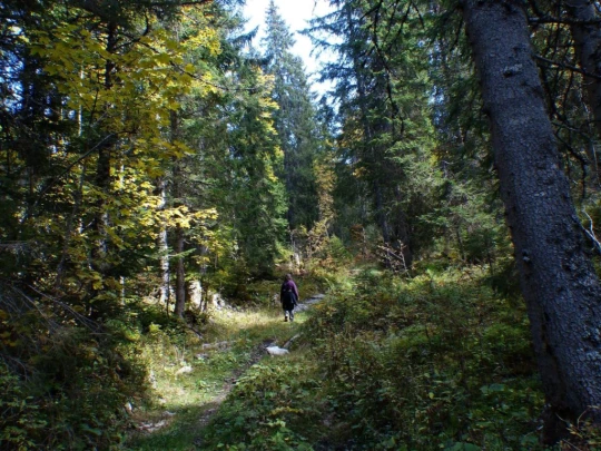 col-du-marchairuz-le-brassus-168