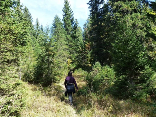 col-du-marchairuz-le-brassus-169