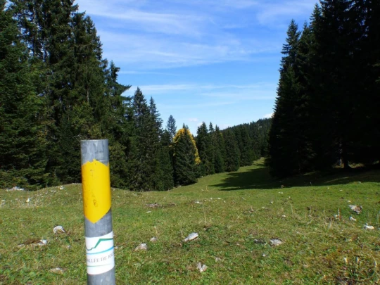 col-du-marchairuz-le-brassus-172