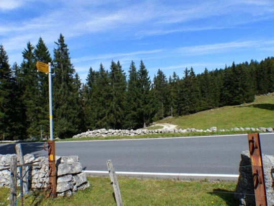 col-du-marchairuz-le-brassus-174