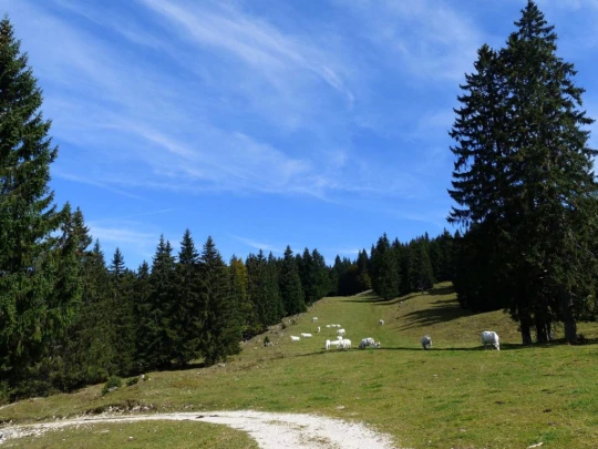 col-du-marchairuz-le-brassus-175