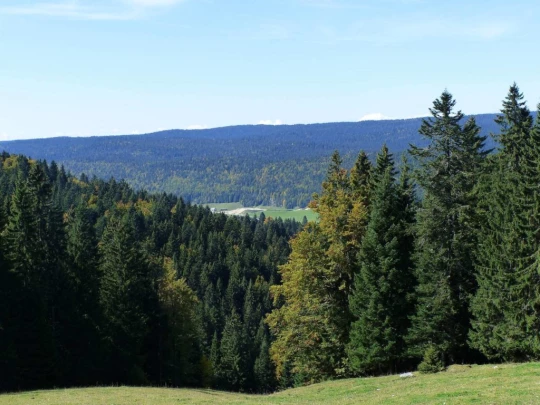col-du-marchairuz-le-brassus-177