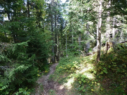 col-du-marchairuz-le-brassus-178