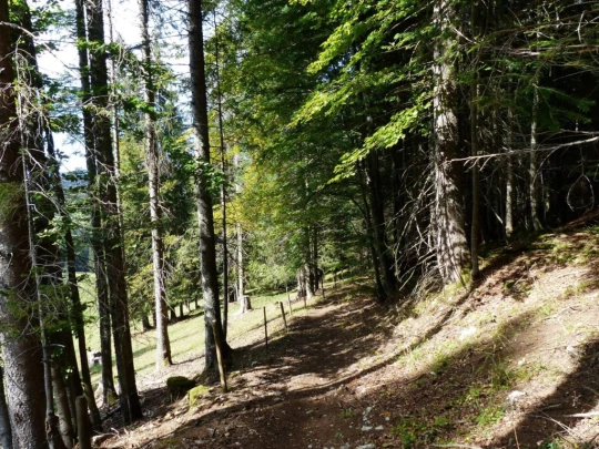 col-du-marchairuz-le-brassus-179