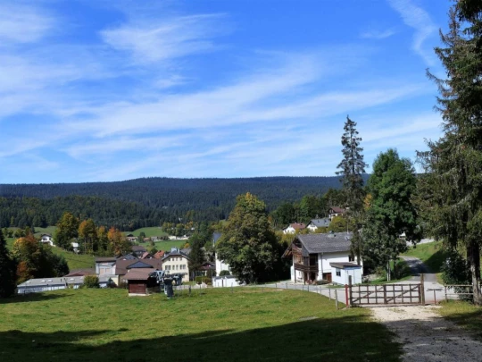 col-du-marchairuz-le-brassus-185