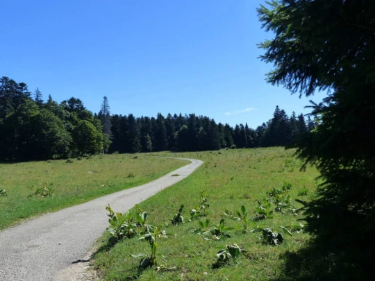 col-du-mollendruz-croy-108