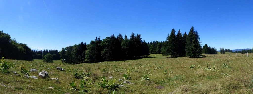 col-du-mollendruz-croy-118
